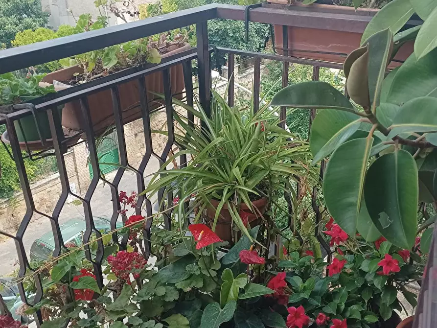 Immagine 9 di Camera in affitto  in Via di Monte Verde a Roma