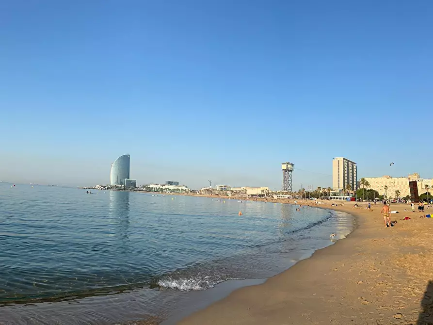 Immagine 7 di Camera in affitto  in Carrer de Sant Carles a Barcelona