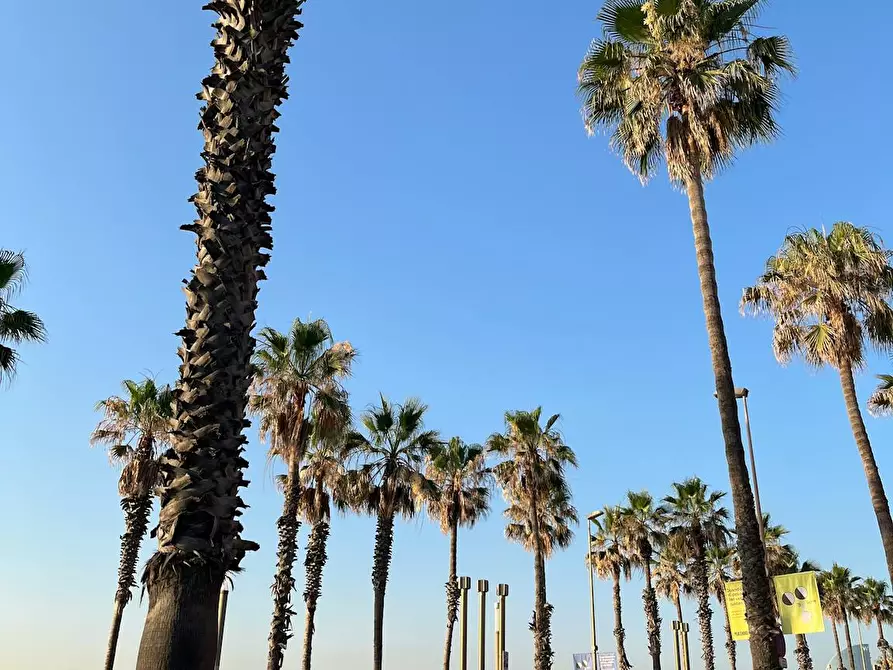 Immagine 9 di Camera in affitto  in Carrer de Sant Carles a Barcelona