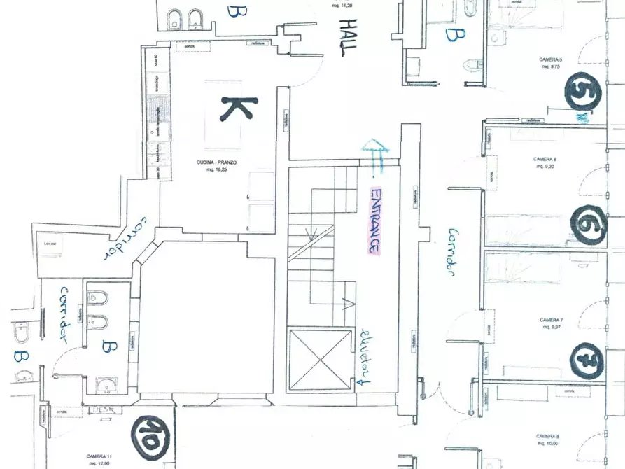 Immagine 2 di Camera condivisa in affitto  in Via Ugo Bassi a Bologna