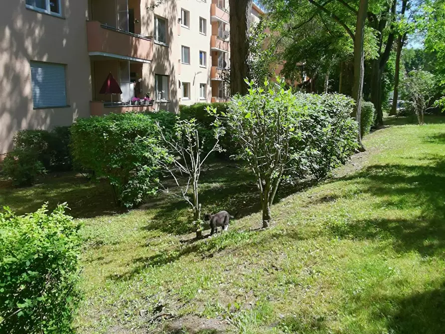 Immagine 9 di Camera in affitto  in Suderoder Straße a Berlin