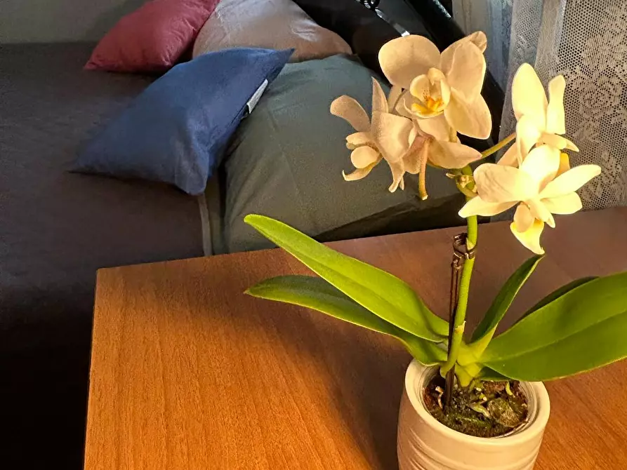 Immagine 6 di Camera in affitto  in Via di Casal Bertone a Roma