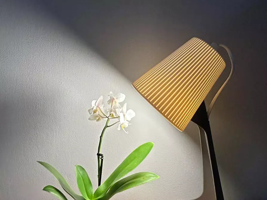 Immagine 4 di Camera in affitto  in Via di Casal Bertone a Roma