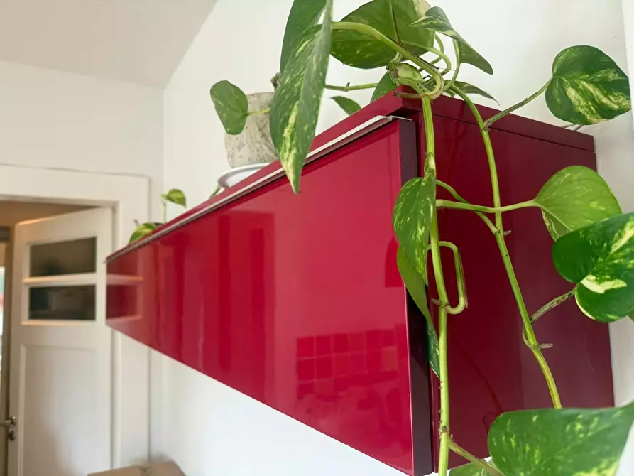 Immagine 7 di Appartamento in affitto  in Quirinstraße a Düsseldorf