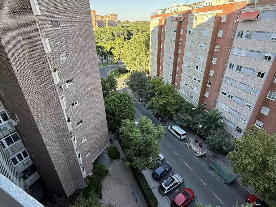 Immagine 10 di Camera in affitto  in Calle del Pez Volador a Madrid