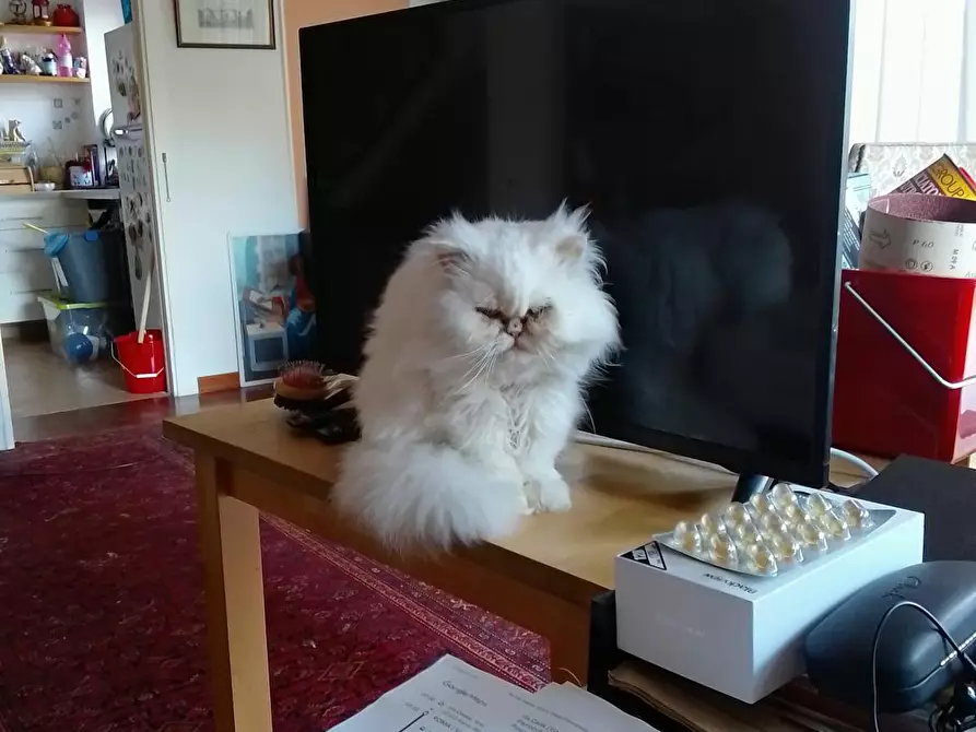 Immagine 6 di Camera in affitto  in Via Cassia a Roma