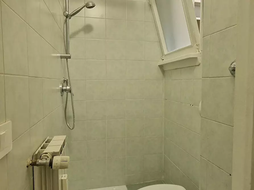 Immagine 10 di Camera in affitto  in Lungotevere di Pietra Papa a Roma