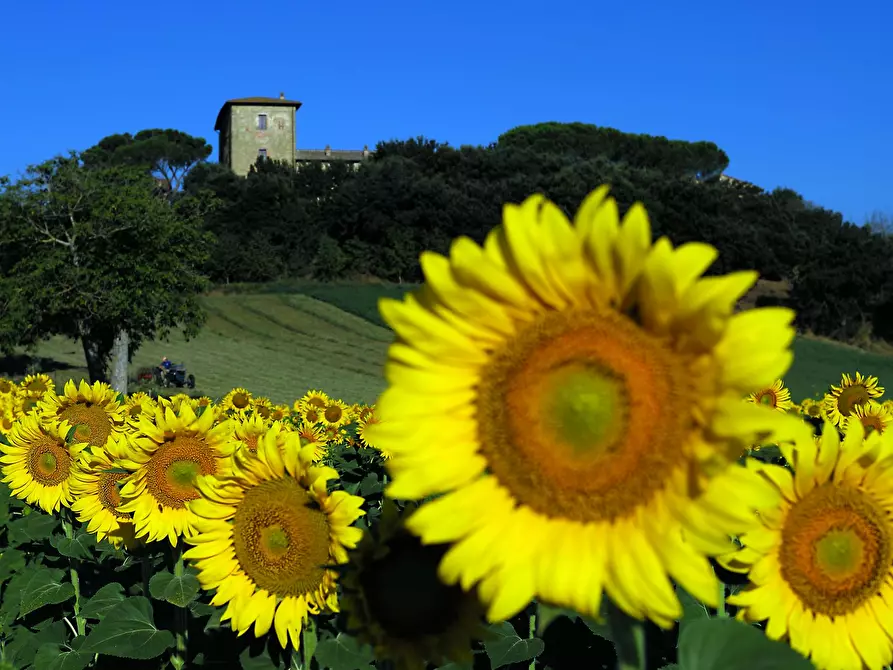 Immagine 4 di Appartamento in affitto  in Vocabolo Monticelli a Marsciano