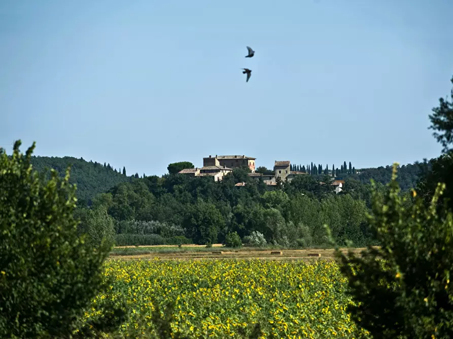 Immagine 10 di Appartamento in affitto  in Vocabolo Monticelli a Marsciano