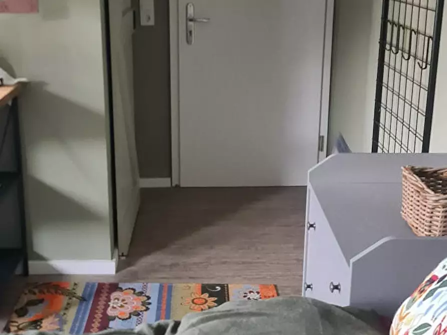 Immagine 9 di Appartamento in affitto  in Schmiedstraße a Oberursel