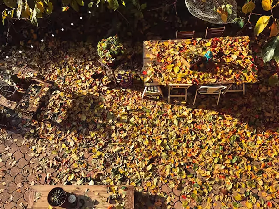 Immagine 4 di Appartamento in affitto  in Strada Comunale di Mongreno a Torino