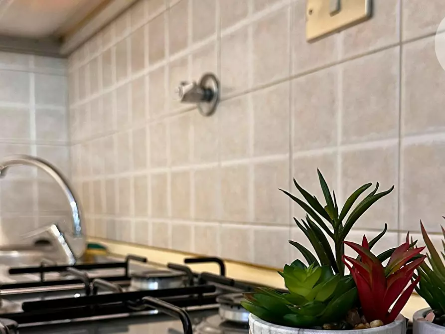 Immagine 5 di Appartamento in affitto  in Via Po a Torino