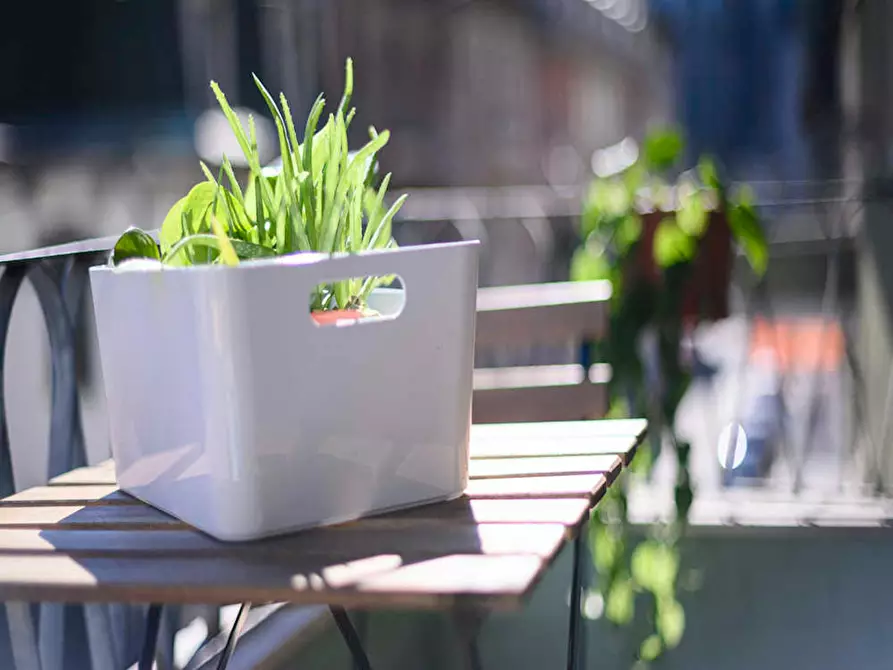 Immagine 9 di Camera in affitto  in Via Giovanni Battista Soresina a Milano