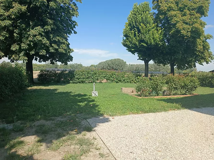 Immagine 9 di Camera in affitto  in Via Romita a Bologna