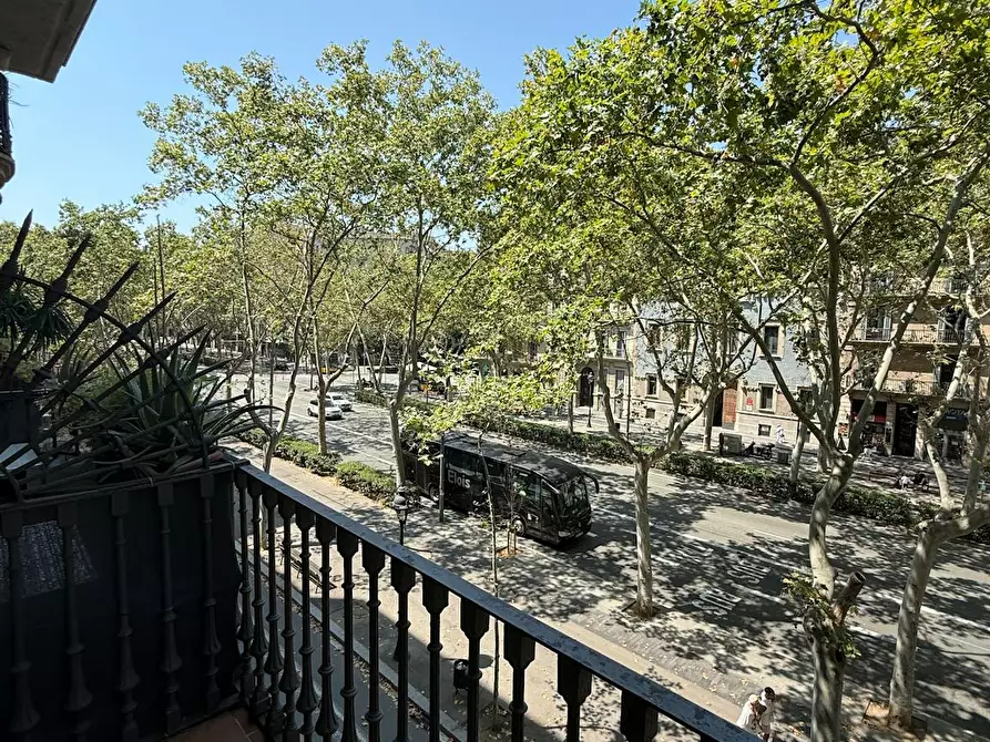 Immagine 7 di Camera in affitto  in Gran Via de les Corts Catalanes a Barcelona