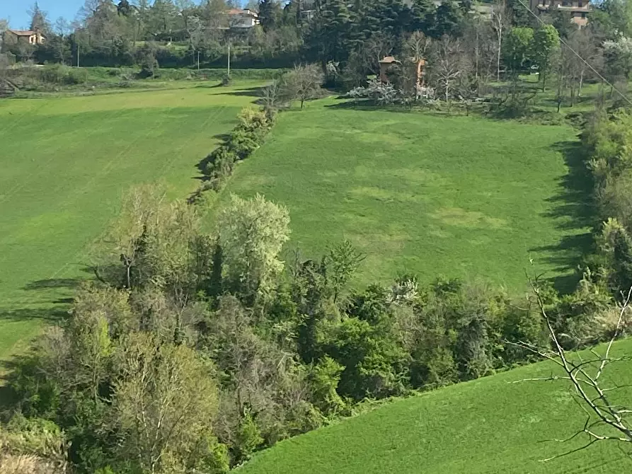 Immagine 1 di Camera in affitto  in Via Salvo d'Acquisto a Argelato