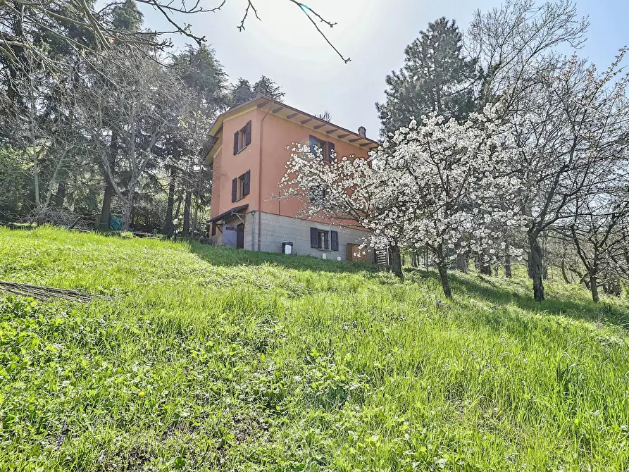 Immagine 5 di Camera in affitto  in Via Salvo d'Acquisto a Argelato
