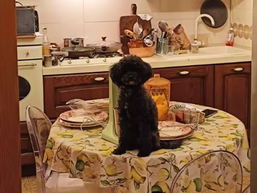 Immagine 8 di Camera in affitto  in Via Salvo d'Acquisto a Argelato