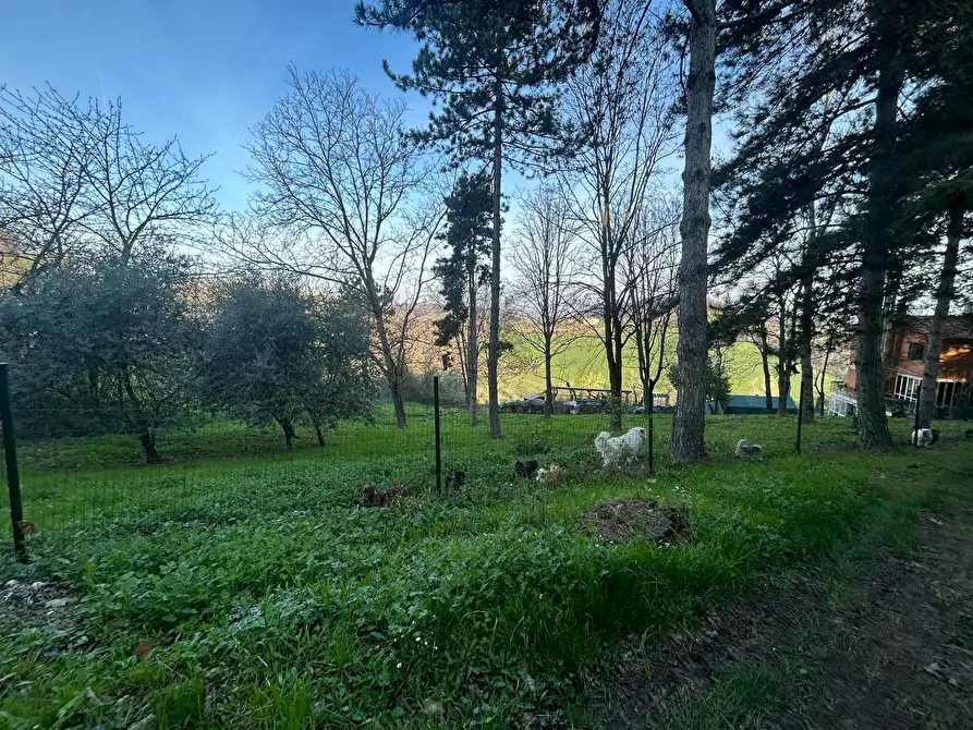 Immagine 6 di Camera in affitto  in Via Salvo d'Acquisto a Argelato