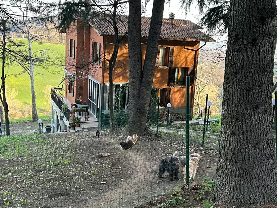 Immagine 5 di Camera in affitto  in Via Salvo d'Acquisto a Argelato