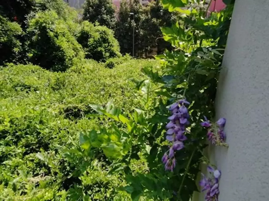 Immagine 8 di Appartamento in affitto  in Via Benaco a Milano