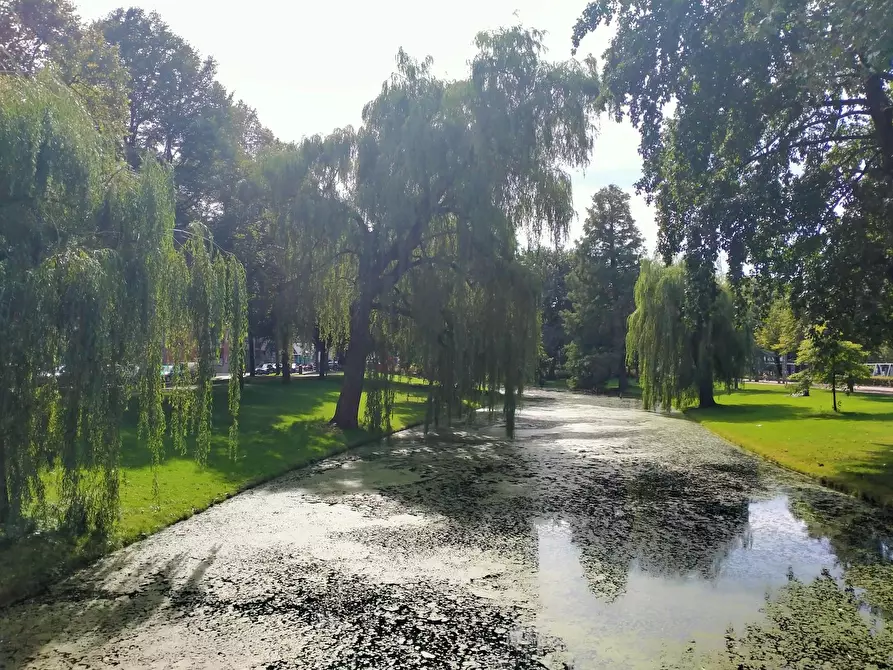 Immagine 9 di Camera in affitto  in Pupillenstraat a Rotterdam