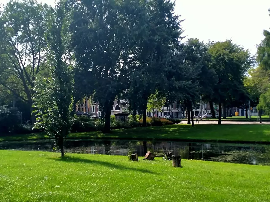 Immagine 2 di Camera in affitto  in Pupillenstraat a Rotterdam