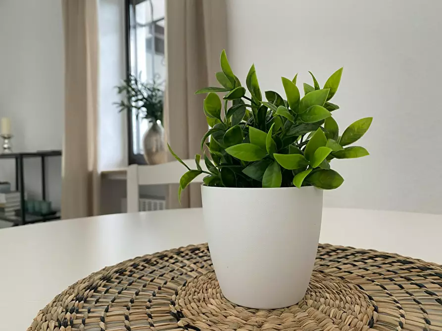 Immagine 6 di Appartamento in affitto  in Am Härenberg a Königswinter