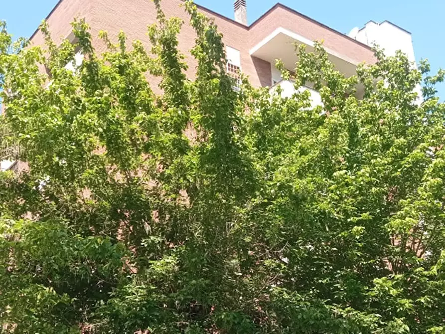 Immagine 8 di Appartamento in affitto  in Via Carlo Dossi a Roma