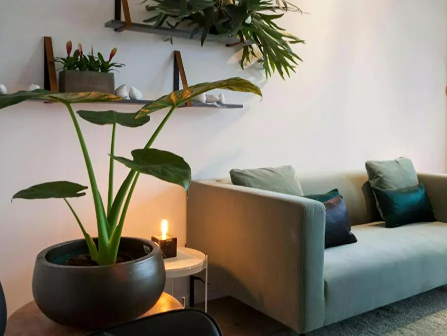 Immagine 8 di Appartamento in affitto  in Sint-Michielskaai a Antwerpen