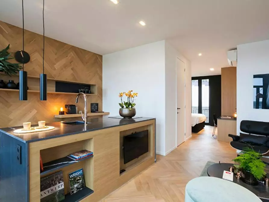 Immagine 4 di Appartamento in affitto  in Sint-Michielskaai a Antwerpen
