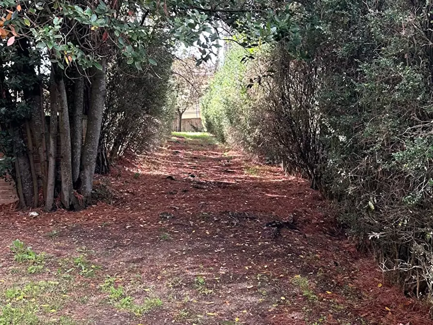 Immagine 5 di Casa indipendente in affitto  in Via Antonio Gramsci a Montefalco