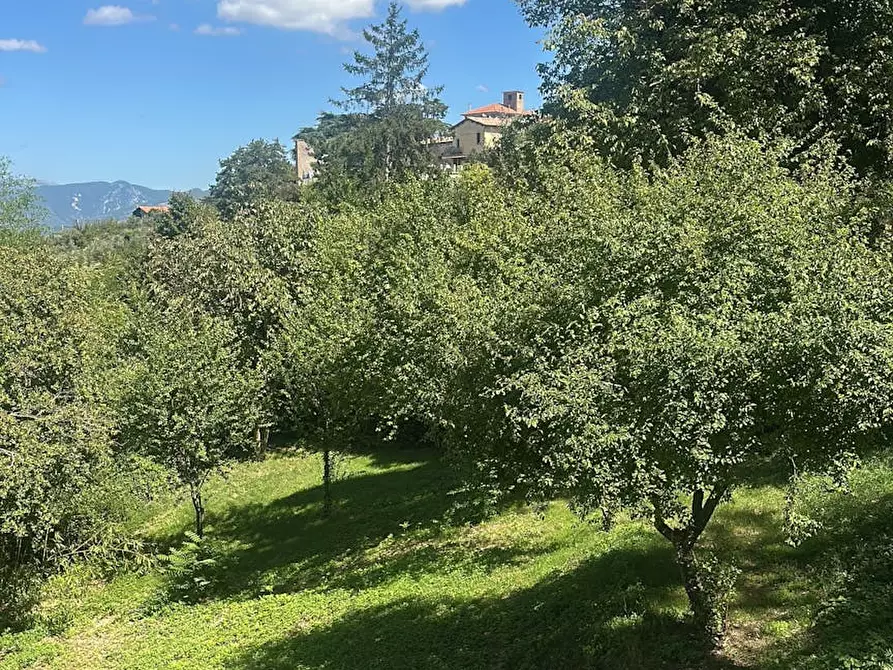 Immagine 6 di Casa indipendente in affitto  in Via Antonio Gramsci a Montefalco