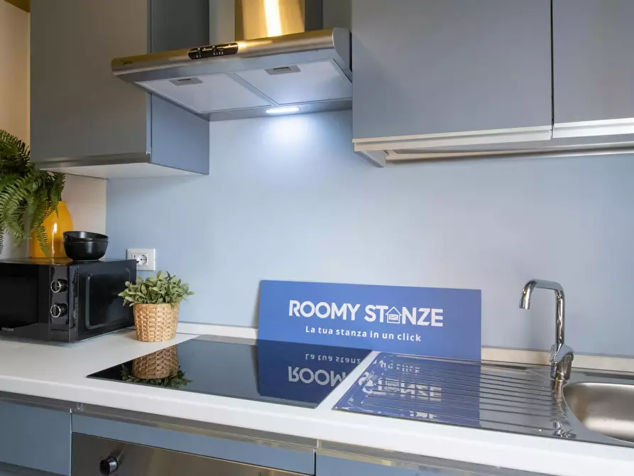 Immagine 8 di Camera in affitto  in Via Contardo Ferrini a Pavia