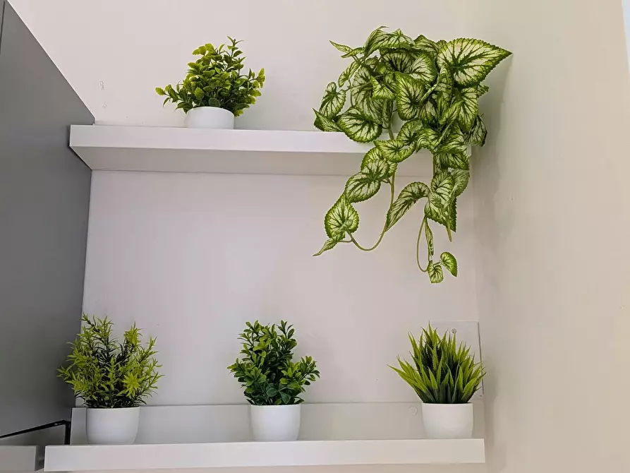 Immagine 5 di Appartamento in affitto  in Via Filippo Baldinucci a Milano