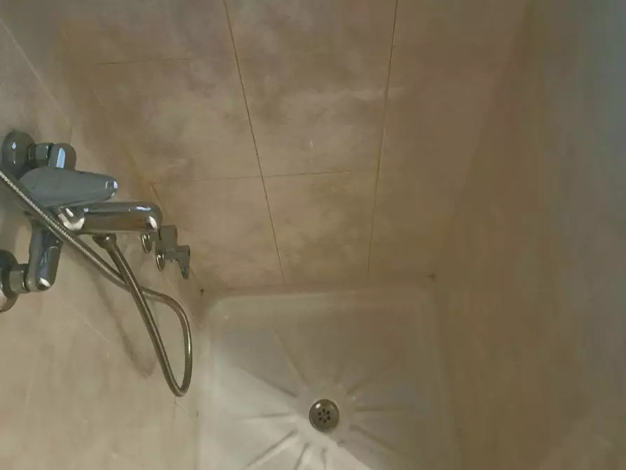 Immagine 4 di Camera in affitto  in Calle Lope de Rueda a Cartagena