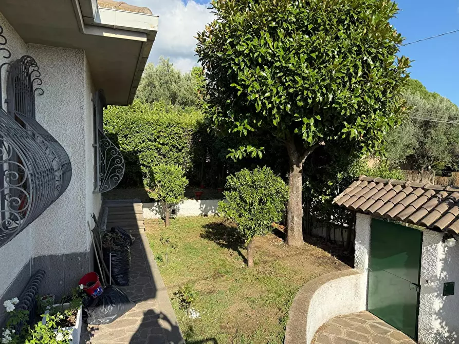 Immagine 6 di Camera in affitto  in Vicolo Olivella a Albano Laziale