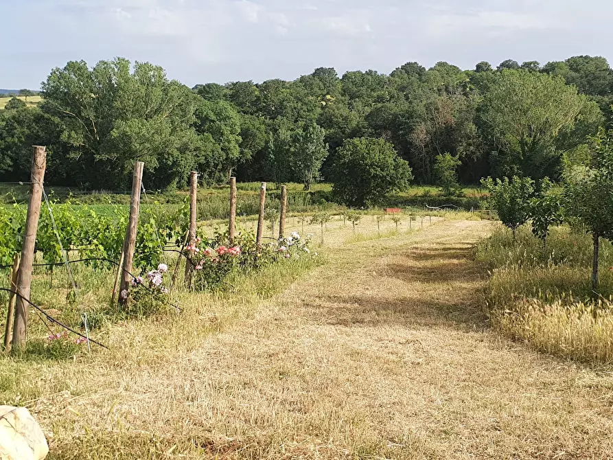 Immagine 4 di Casa indipendente in affitto  in Strada Provinciale Voltina a Campagnatico