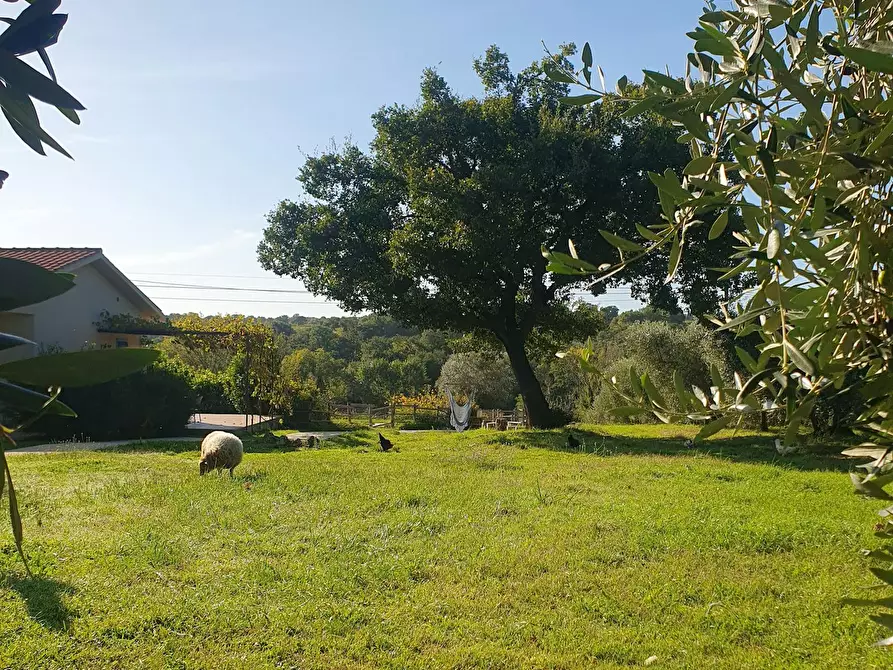 Immagine 5 di Casa indipendente in affitto  in Strada Provinciale Voltina a Campagnatico