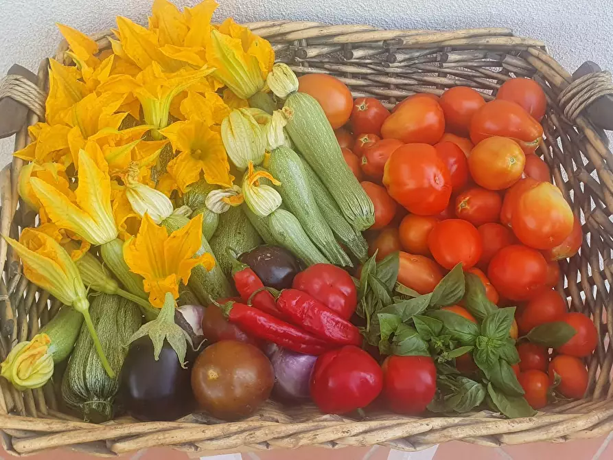 Immagine 6 di Casa indipendente in affitto  in Strada Provinciale Voltina a Campagnatico