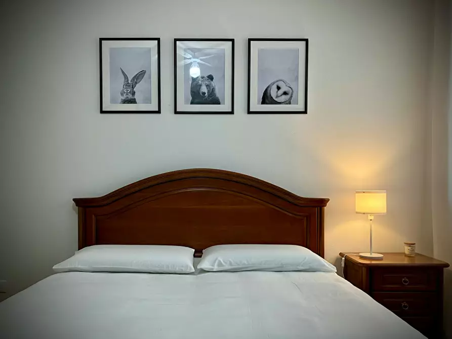 Immagine 2 di Camera in affitto  in Via Sabbioni a Padova