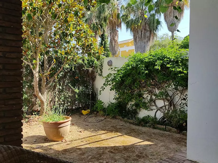Immagine 9 di Appartamento in affitto  in Camino de Marbella a Sanlucar De Barrameda