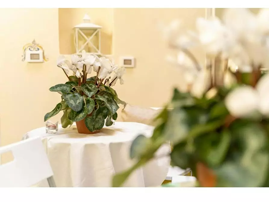 Immagine 6 di Camera in affitto  in Vico San Nicola a Nilo a Napoli