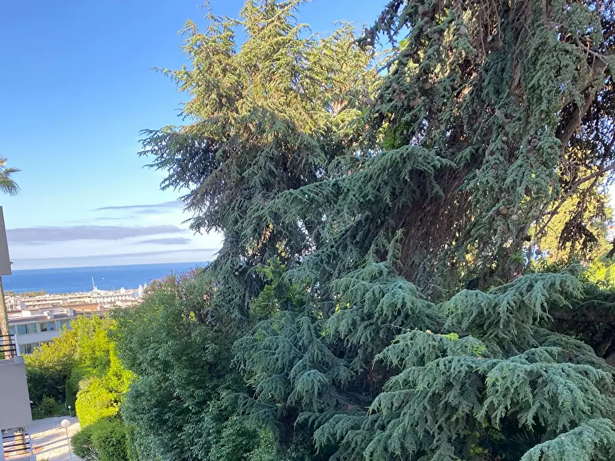 Immagine 2 di Appartamento in affitto  in Avenue du Roi Albert 1er a Cannes