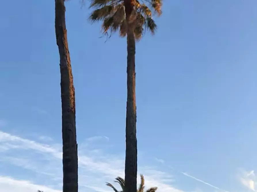 Immagine 4 di Appartamento in affitto  in Avenue du Roi Albert 1er a Cannes