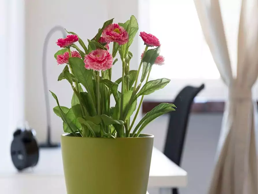 Immagine 6 di Camera in affitto  in Viale Evaristo Stefini a Milano