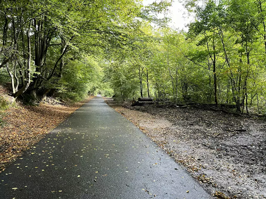 Immagine 10 di Appartamento in affitto  in Ackerstraße a Herzogenrath