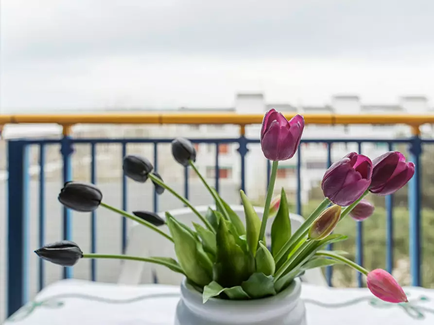 Immagine 3 di Appartamento in affitto  in Viale Portogallo a Comacchio