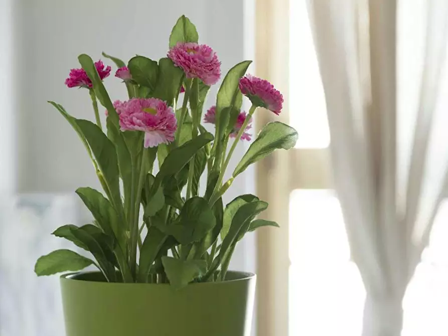 Immagine 7 di Camera in affitto  in Piazza Sant'Agostino a Milano