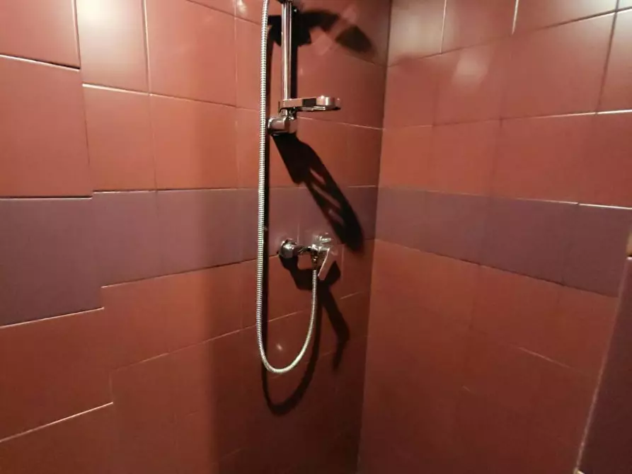 Immagine 9 di Camera condivisa in affitto  in Via di Mezzo a Firenze